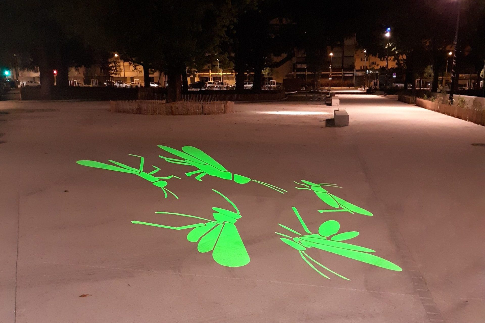 Photo illustrant les projections de l'éclairage public au sol la nuit montrant les dessins des sauterelles réalisées par les enfants de l'école Ernest Renan