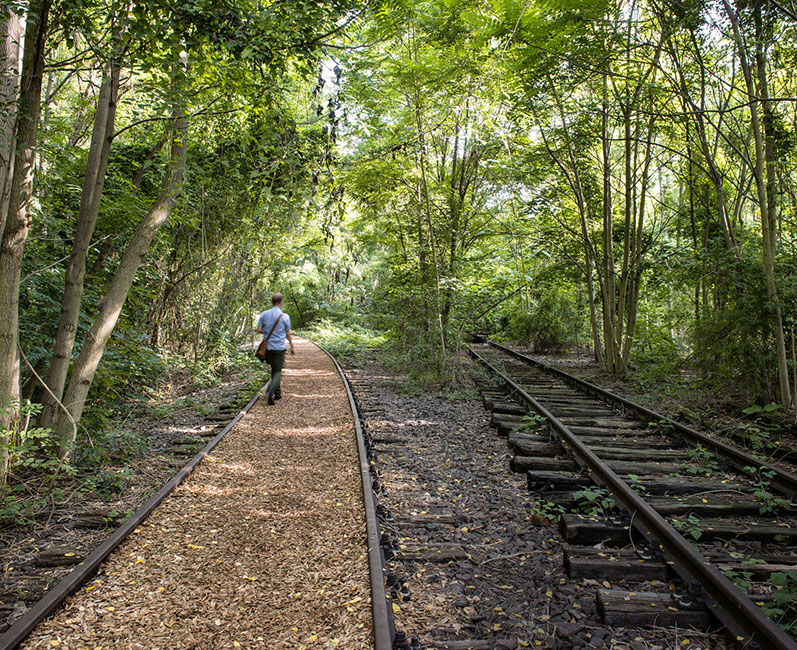 Homme marchant sur un chemin piéton réalisé entre des vestiges de rails de train, dans la forêt