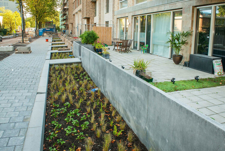 Bande verte plantée et perméable pour faciliter l'absorption de l'eau de pluie en ville