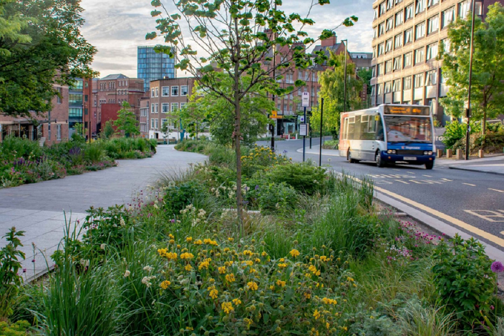 Un bus circulant dans une rue bordée de nombreuses plantes.