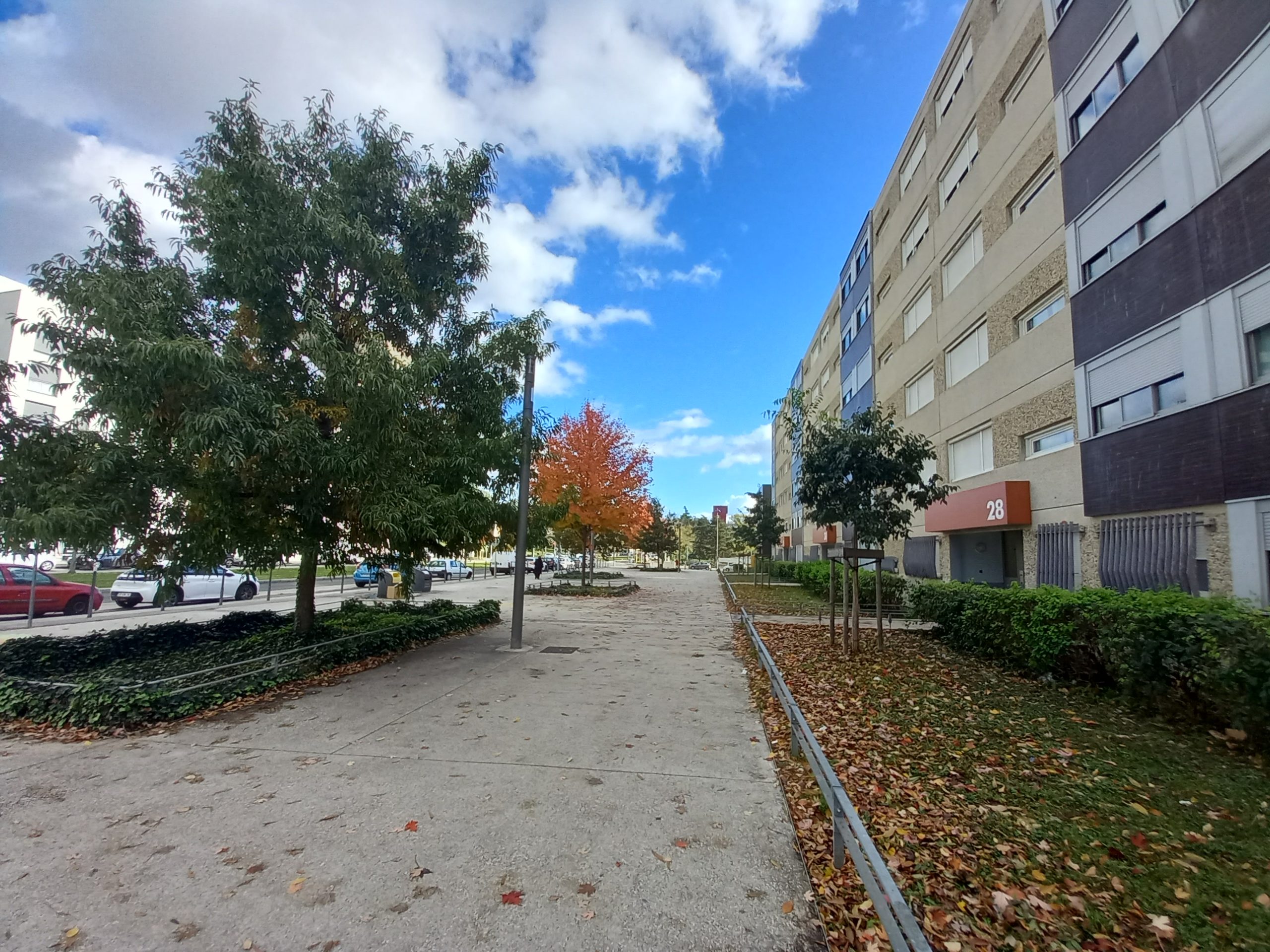 Esplanade en béton, arbres, immeubles