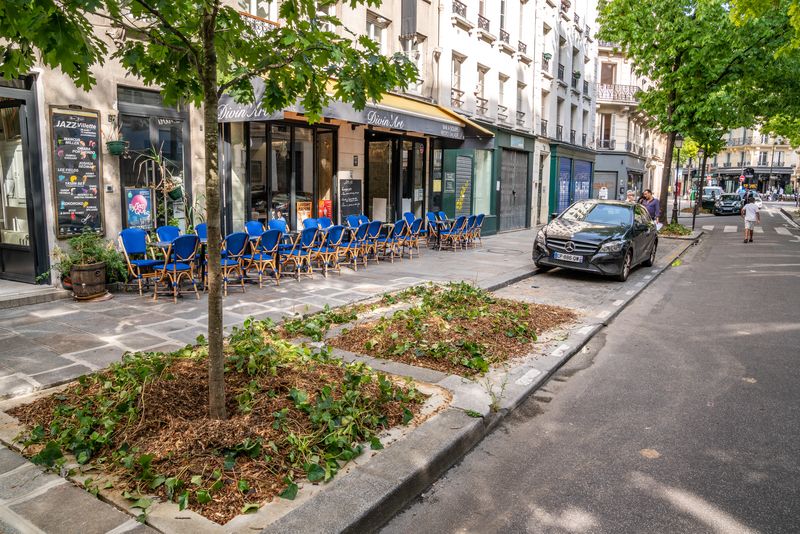 Photo d'une rue avec pieds d'arbre végétalisés