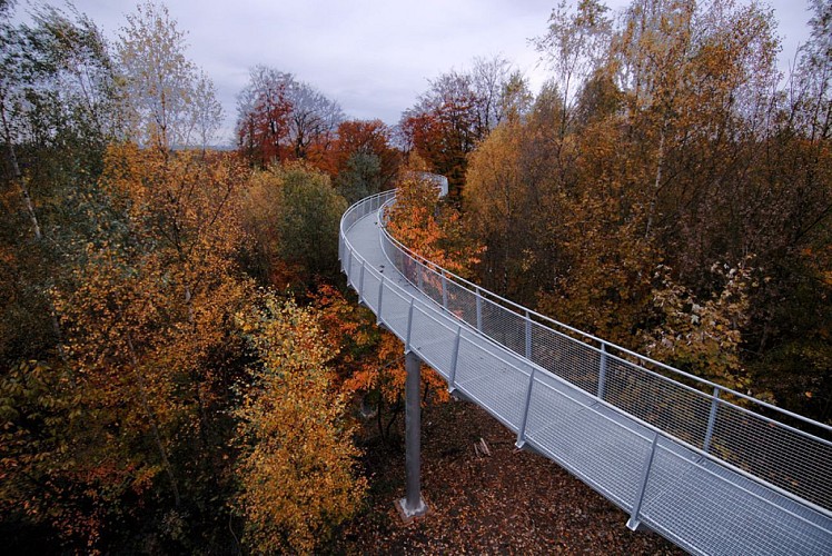 Passerelle métallique qui serpente entre des arbres, à l'automne